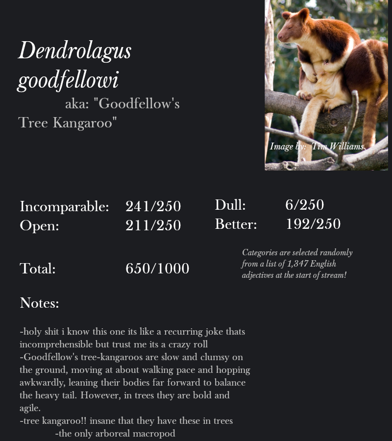 Dendrolagus goodfellowi